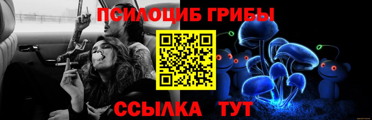 Удомля  Галлюциногенные грибы ЛСД  Вход с VPN  Псилоцибиновые грибы GOLDEN TEACHER 